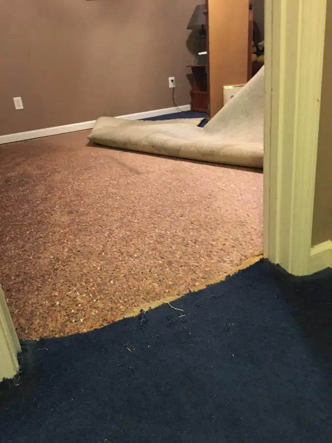 Carpet pad removal revealing water damage during Drying & Dehumidification in Larkin