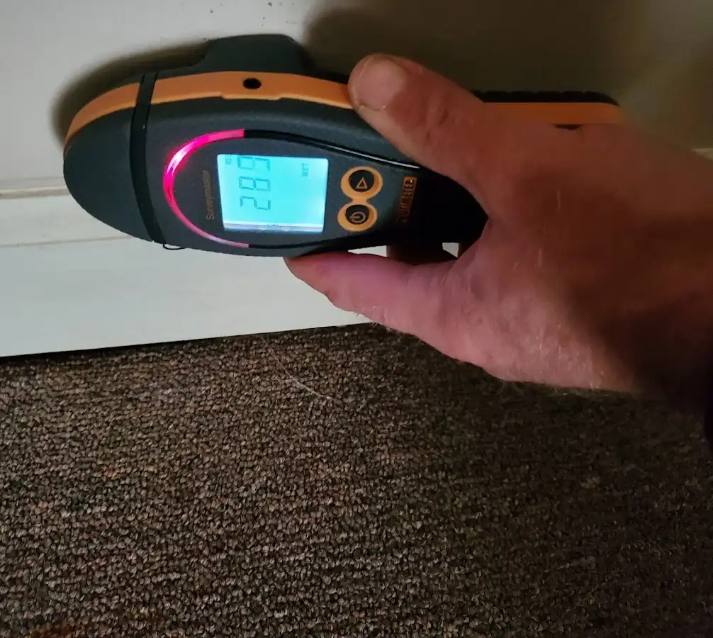 Moisture detection at baseboard during Sewage Cleanup & Sanitation in Larkin